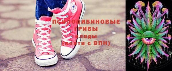 твердый Алексеевка